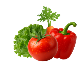 Овощи для здорового питания: помидор, перец, салат и морковь